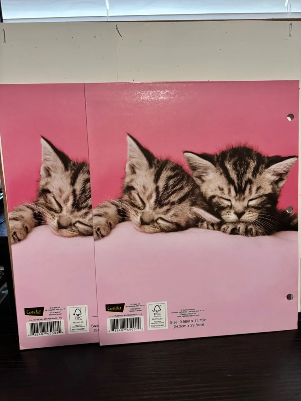 Cat/ Kitten Folder Bundle
